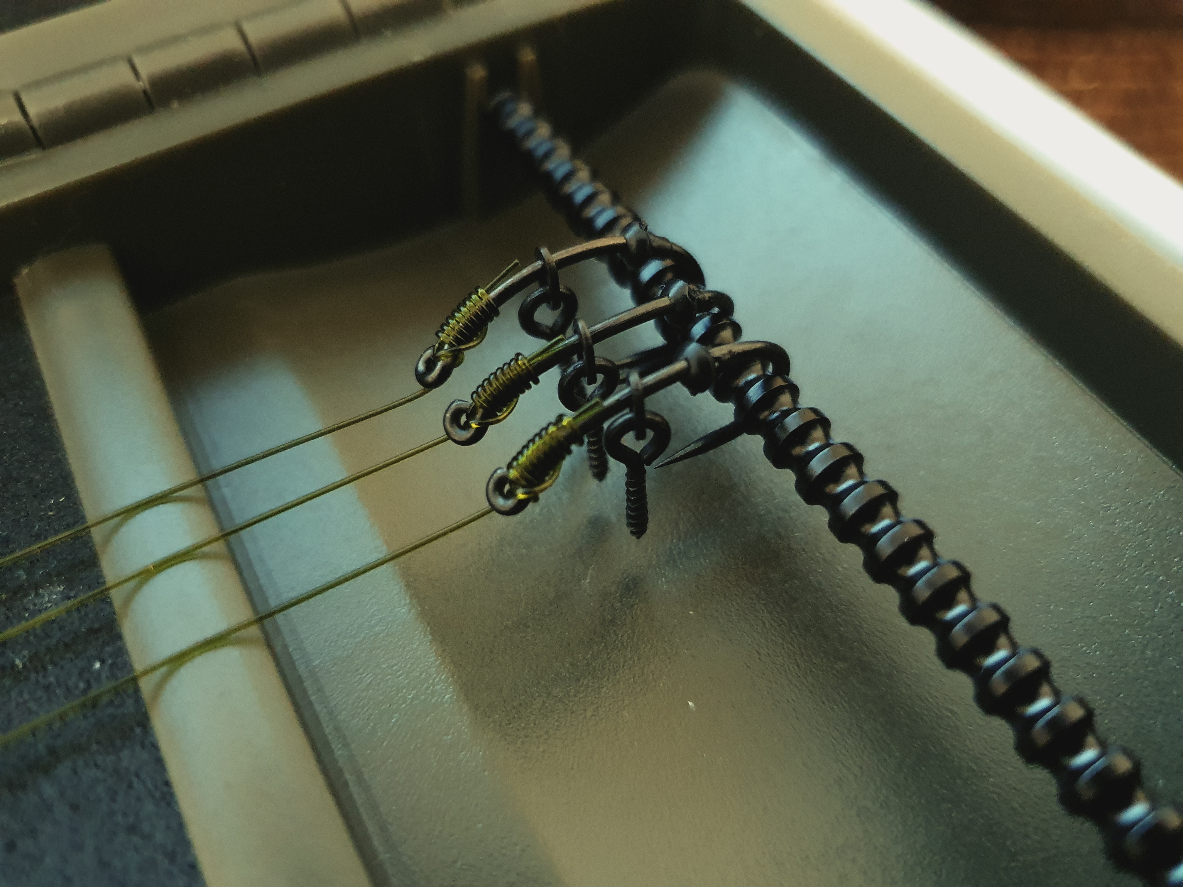 carp rig
